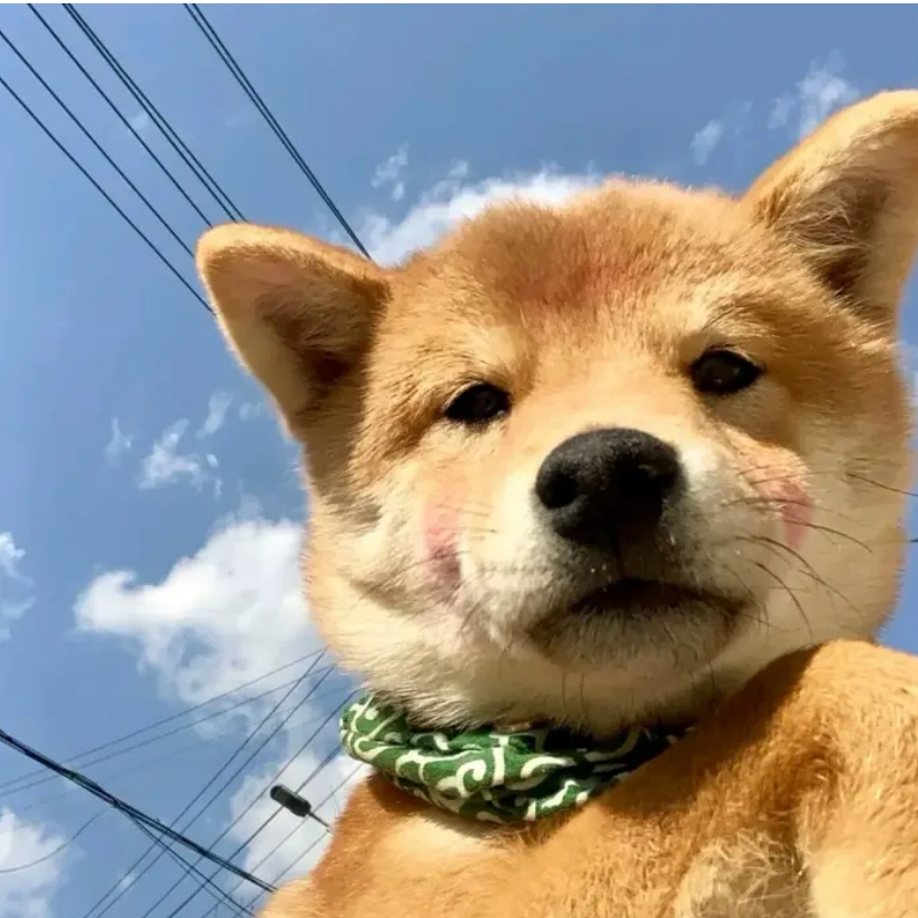 1202
