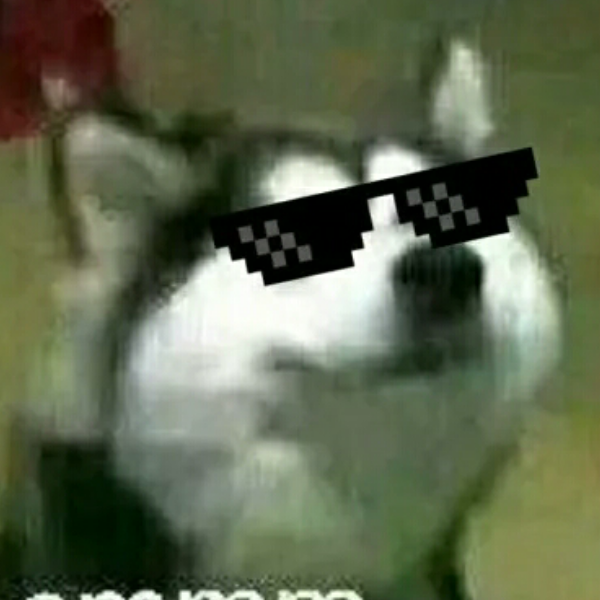 User12801085