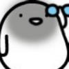 节操去哪儿了