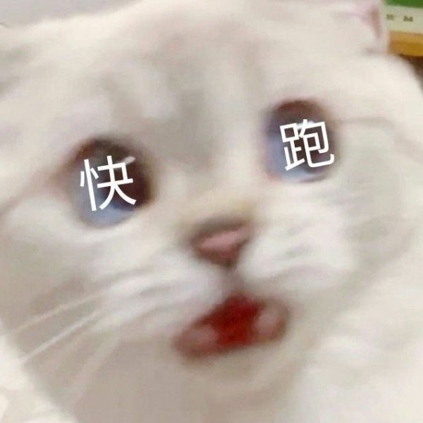 奎木