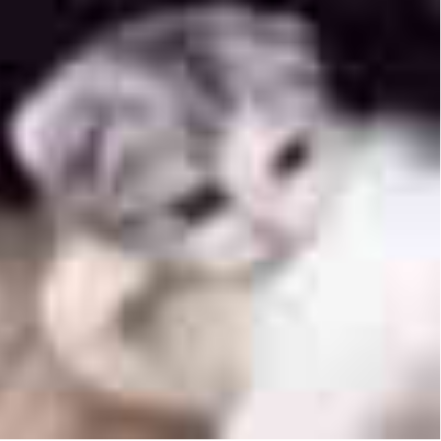 踩到地球好惡心