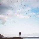 。。。。。。。。