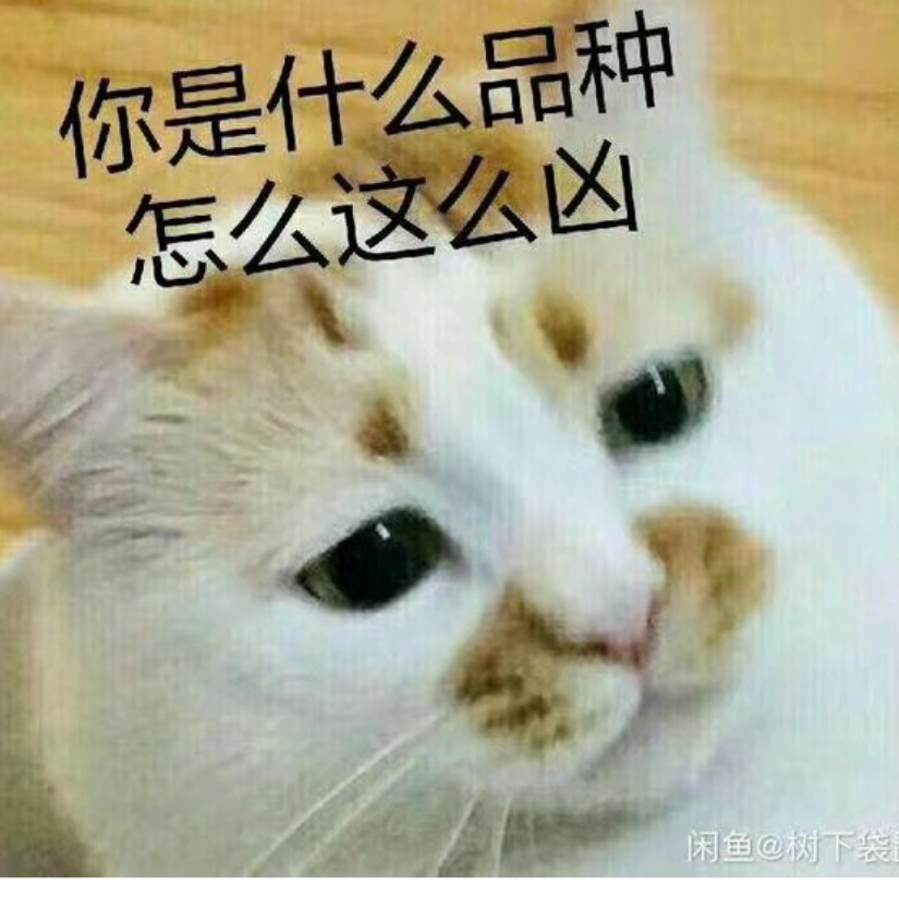 托尼贾