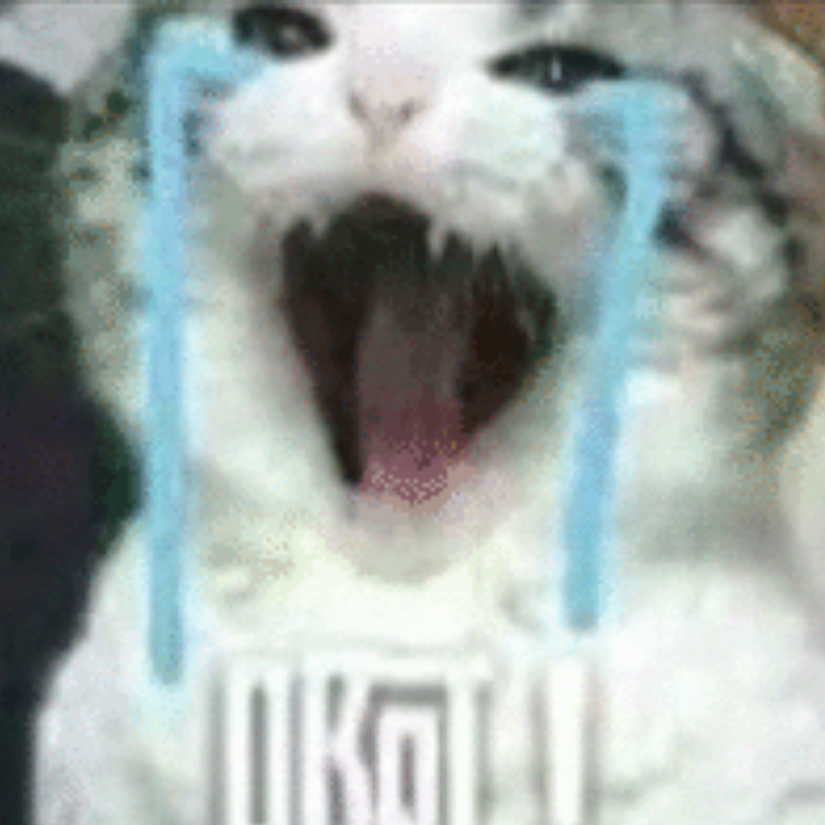非洲酋长