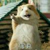 信念乄不灭