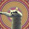 阿猪