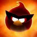 User19743450