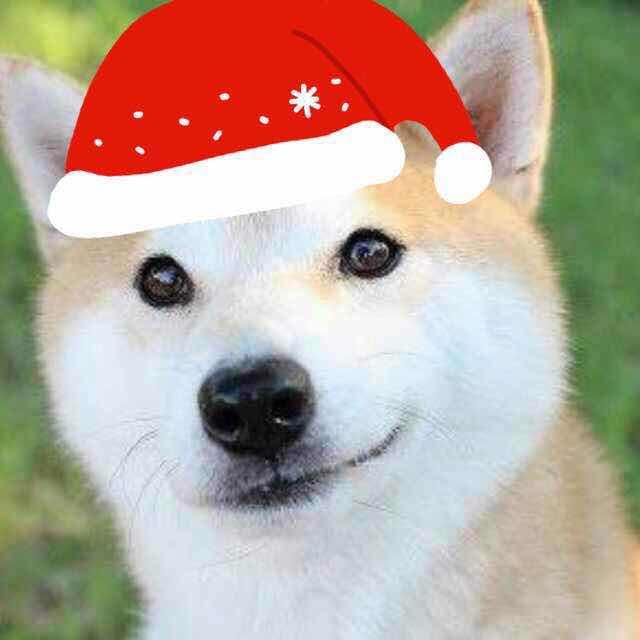 弯道漂移小能手