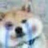 日久生情