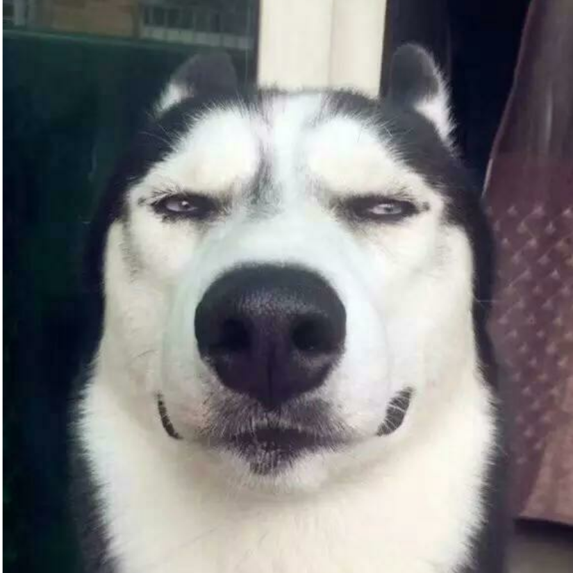 看在我的面子上算了昂。