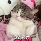 试图撒娇