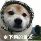 新亭侯
