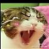 殇