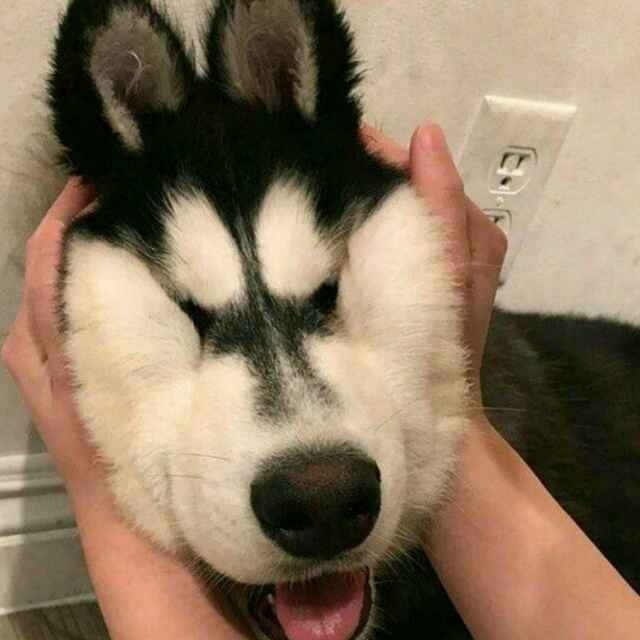 九文