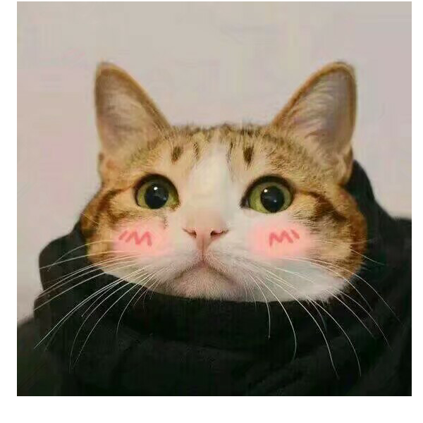 迩情