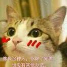 猫七