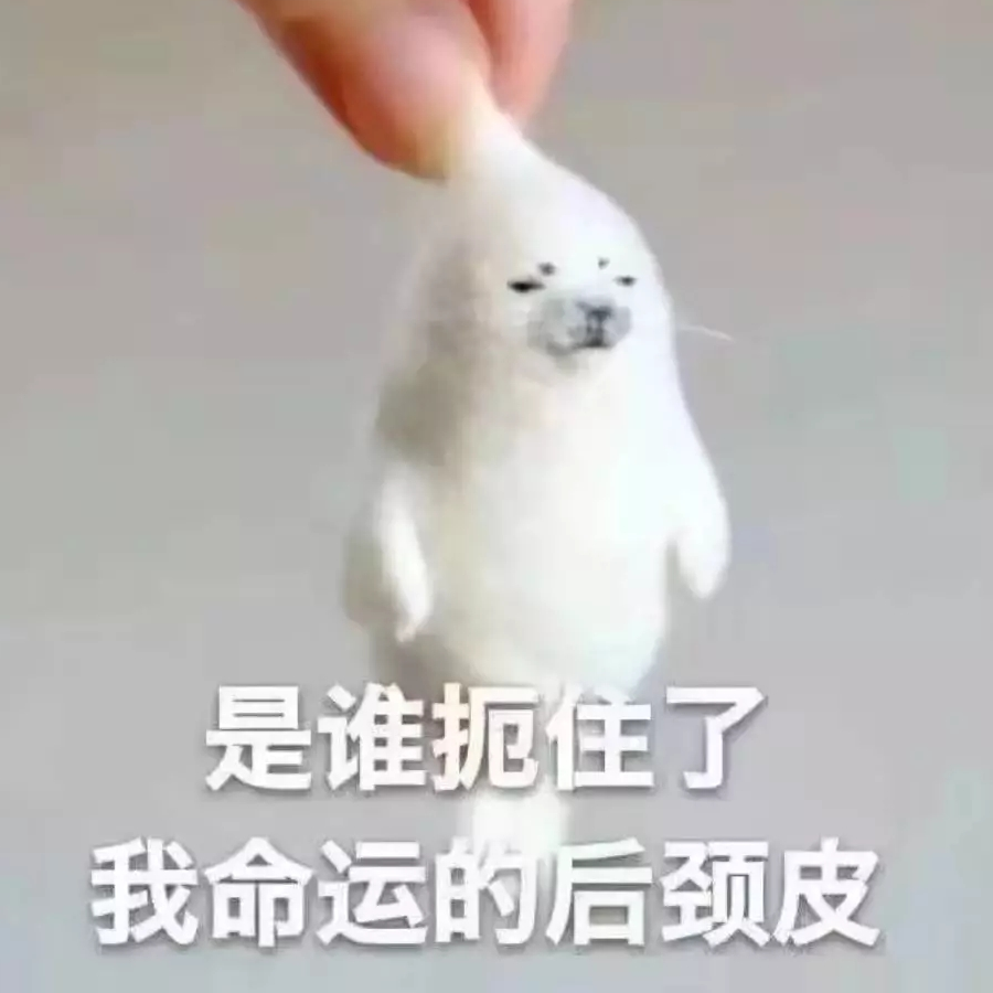 我与神明画过押