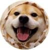 白茕