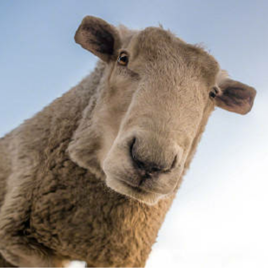 我有清风也有酒