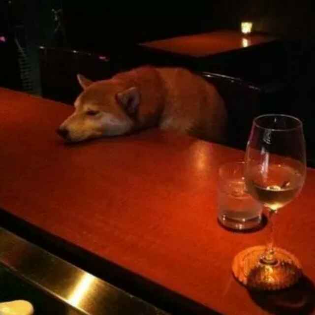 谁，唤我之心、掩我一生凌轹。
