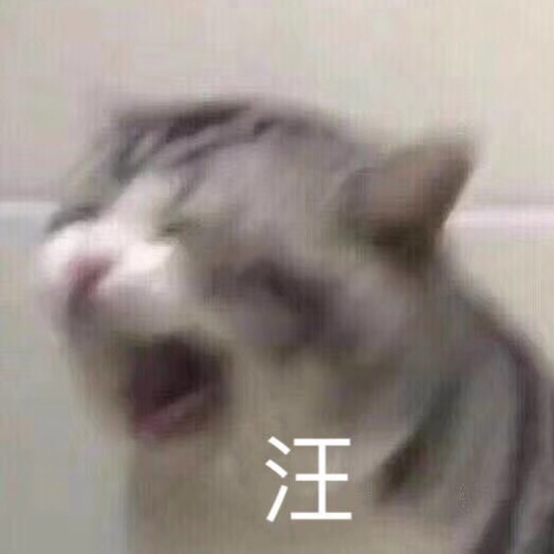 咸鱼皇