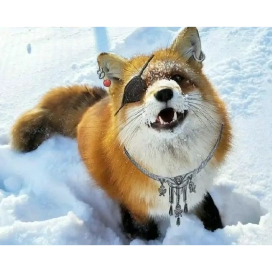 এ᭄雪ོ瑶༊