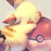 不养二哈养pika