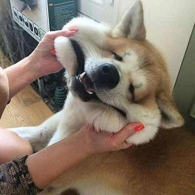 对方正在输入......