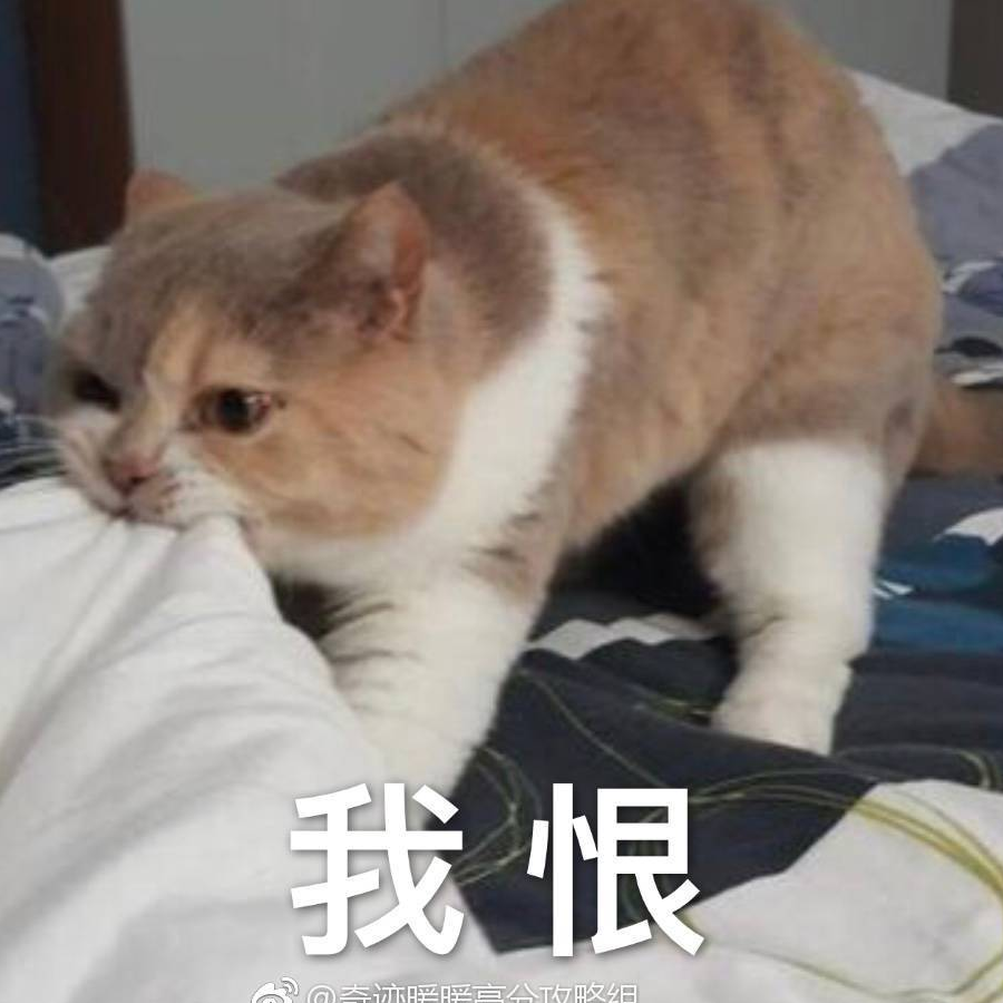 者尔