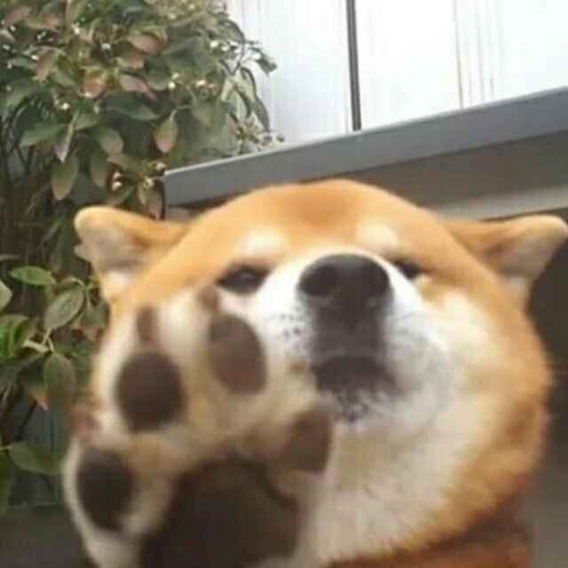 kiki