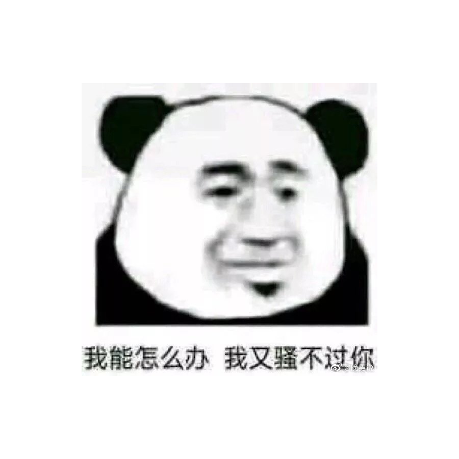 一股清流