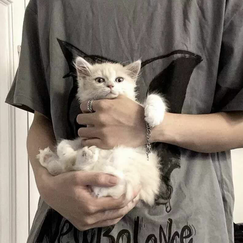 李珂