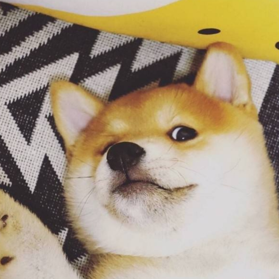 在光中行走