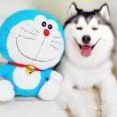 世事不可强求，快乐长存