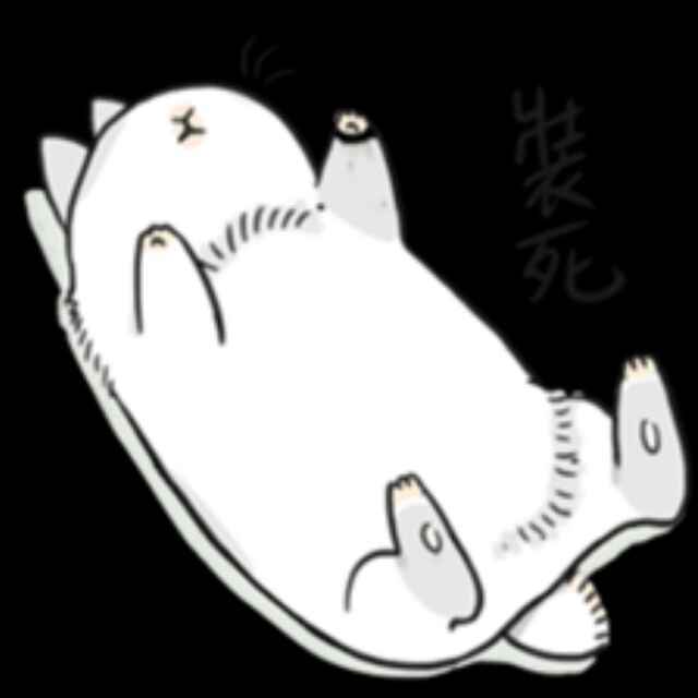 Rhine_陳