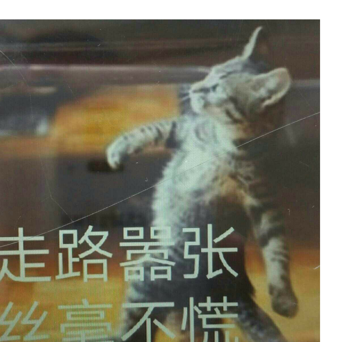 死无疑管