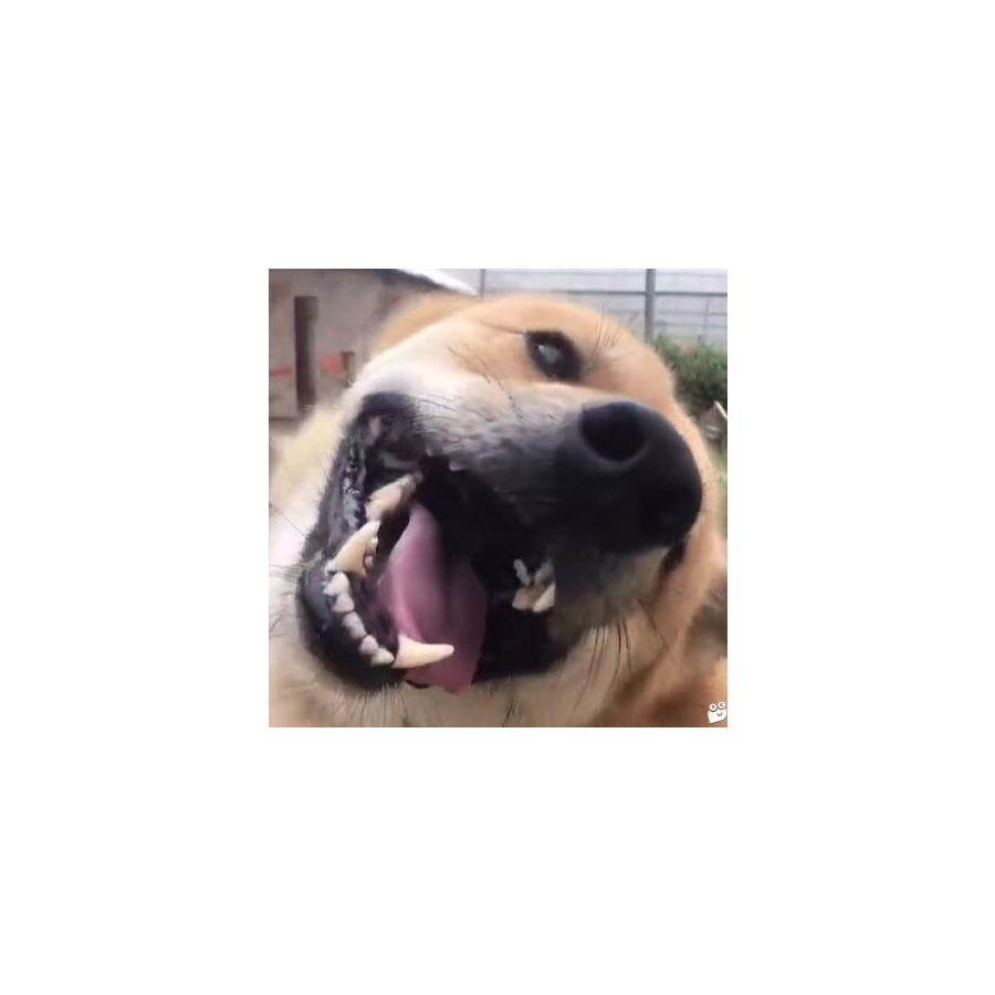 十二点前睡觉