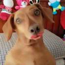 重新开始一切吧