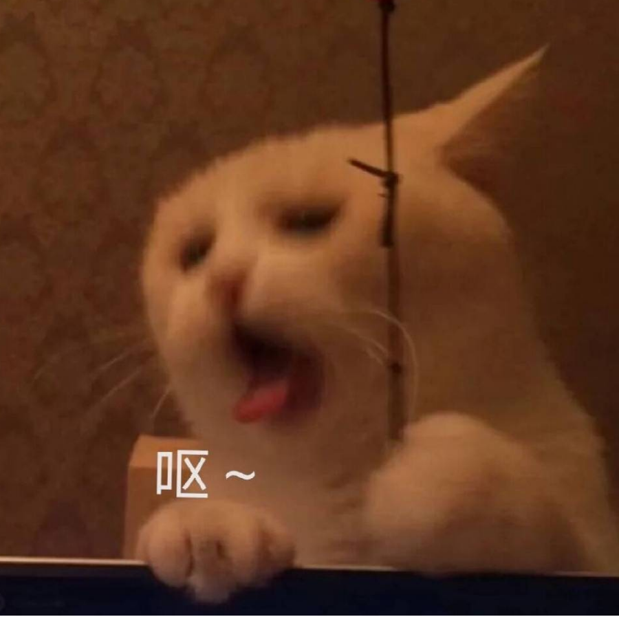 倾子