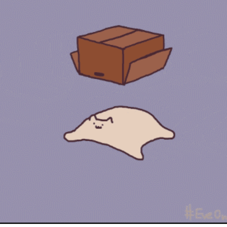 熊