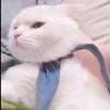 鈴木綾