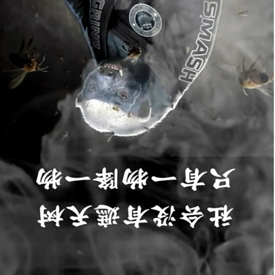 秀