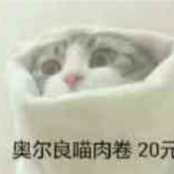 某只萌新