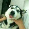 疯狂