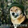 心浮气躁