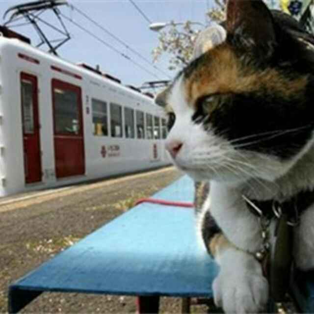 老板来碗面