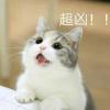 聖々年