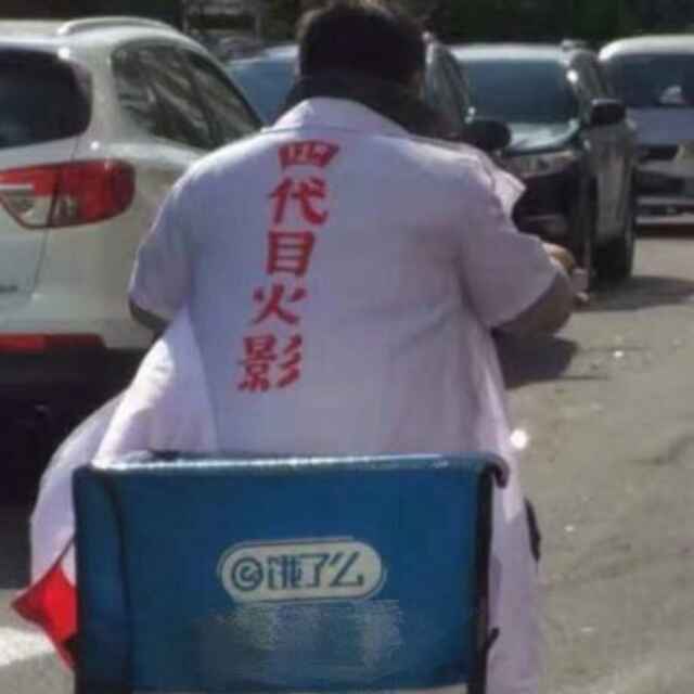 落叶乌龟