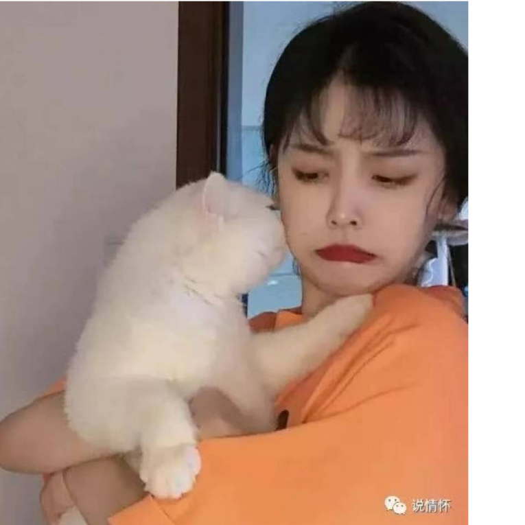 行行行