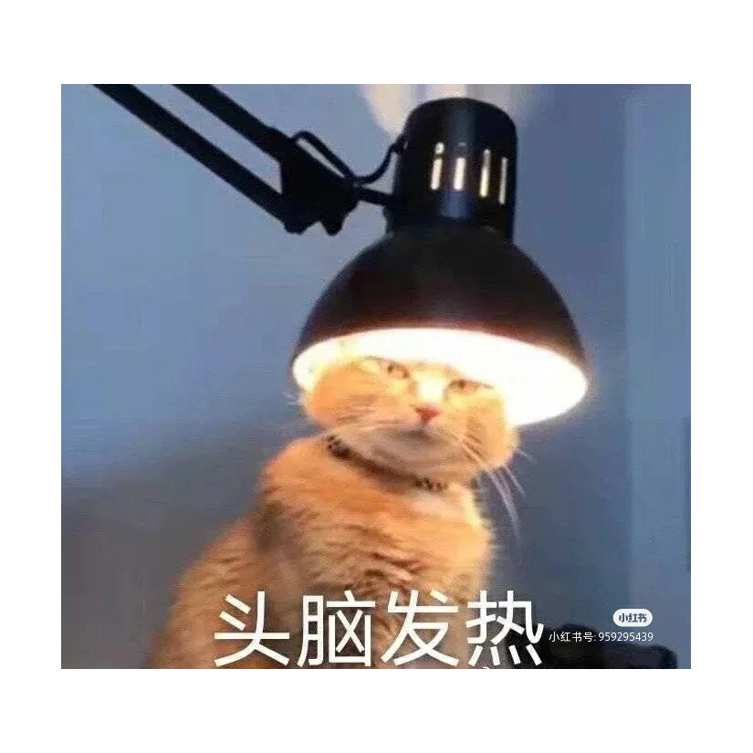 炸可乐哟